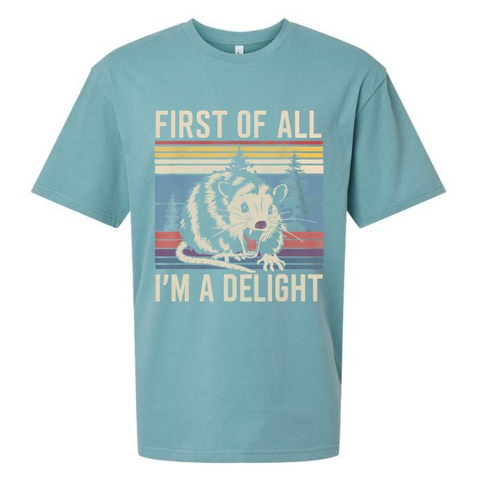 First Of All I’M A Delight Sarcastic Angry Opossum Possum Sueded Cloud Jersey T-Shirt