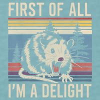 First Of All I’M A Delight Sarcastic Angry Opossum Possum Sueded Cloud Jersey T-Shirt