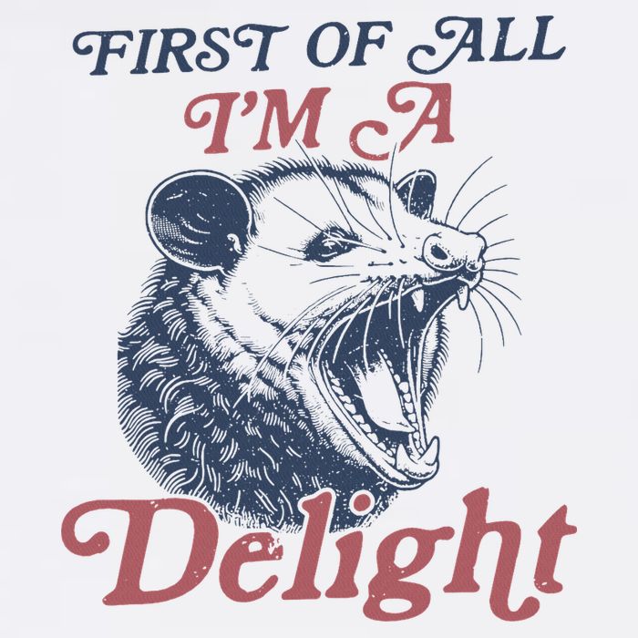 First Of All I'm A Delight Sarcastic Angry Opossum Possum Women's V-Neck T-Shirt