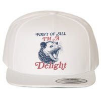 First Of All I'm A Delight Sarcastic Angry Opossum Possum Wool Snapback Cap