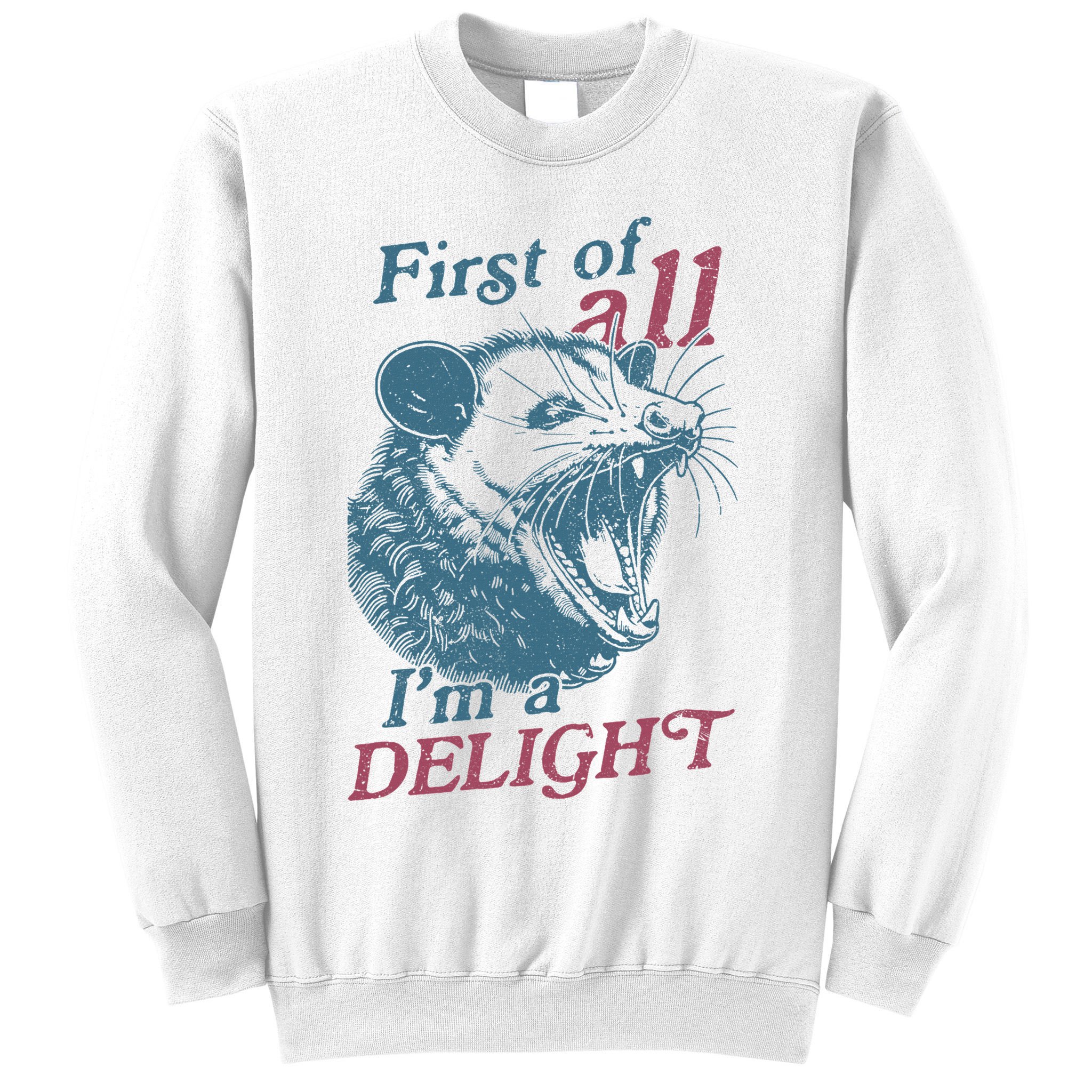 First Of All I'm A Delight Sarcastic Angry Opossum Lover Sweatshirt