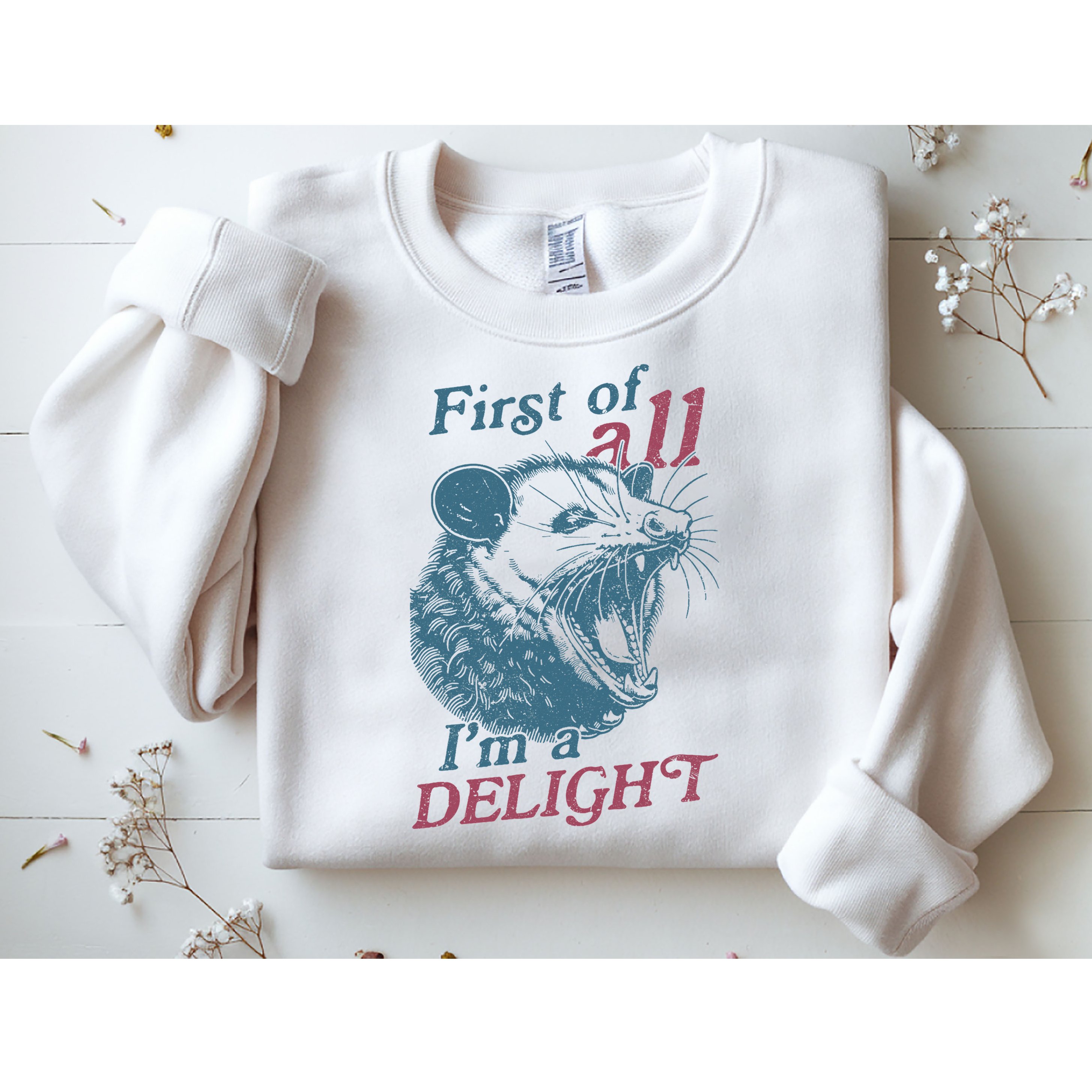 First Of All I'm A Delight Sarcastic Angry Opossum Lover Sweatshirt