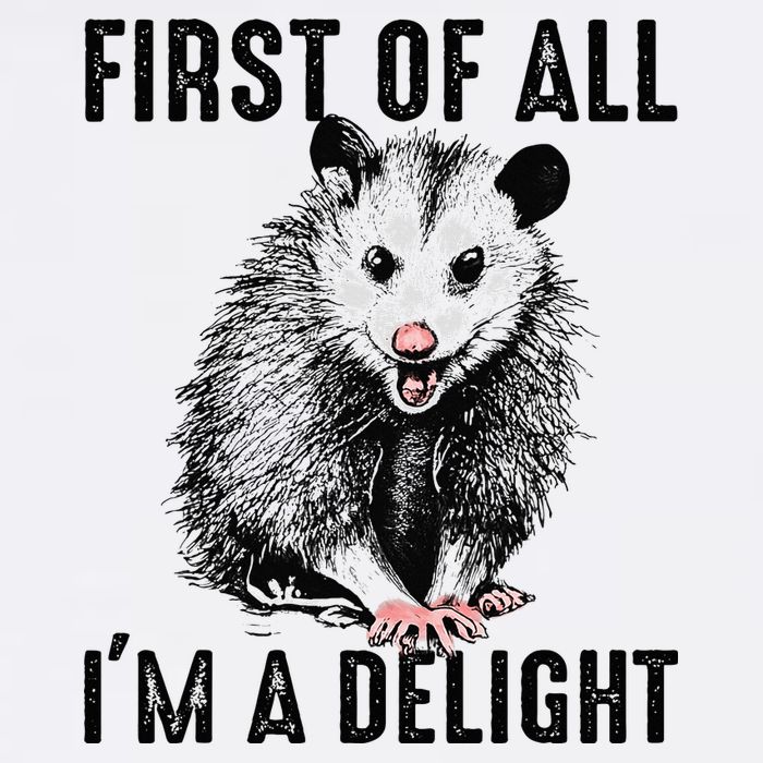 First Of All IM A Delight Opossum Lover Matching Button
