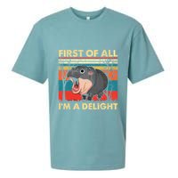 First Of All IM A Delight Funny Moo Deng Hippo Hippopotamus Sueded Cloud Jersey T-Shirt