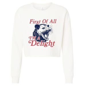 First Of All IM A Delight Funny Women Cute Raccoon Cropped Pullover Crew