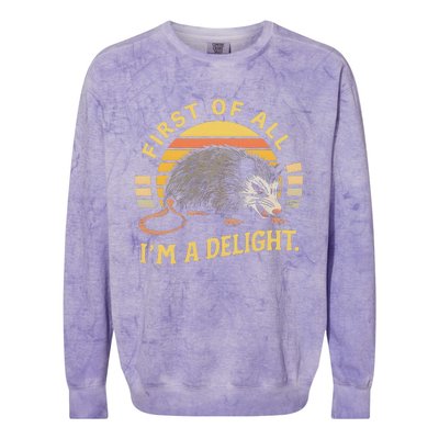 First Of All IM A Delight Sarcastic Angry Opossum Possum Colorblast Crewneck Sweatshirt