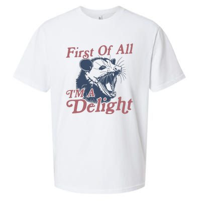 First Of All IM A Delight Sarcastic Angry Opossum Possum Sueded Cloud Jersey T-Shirt