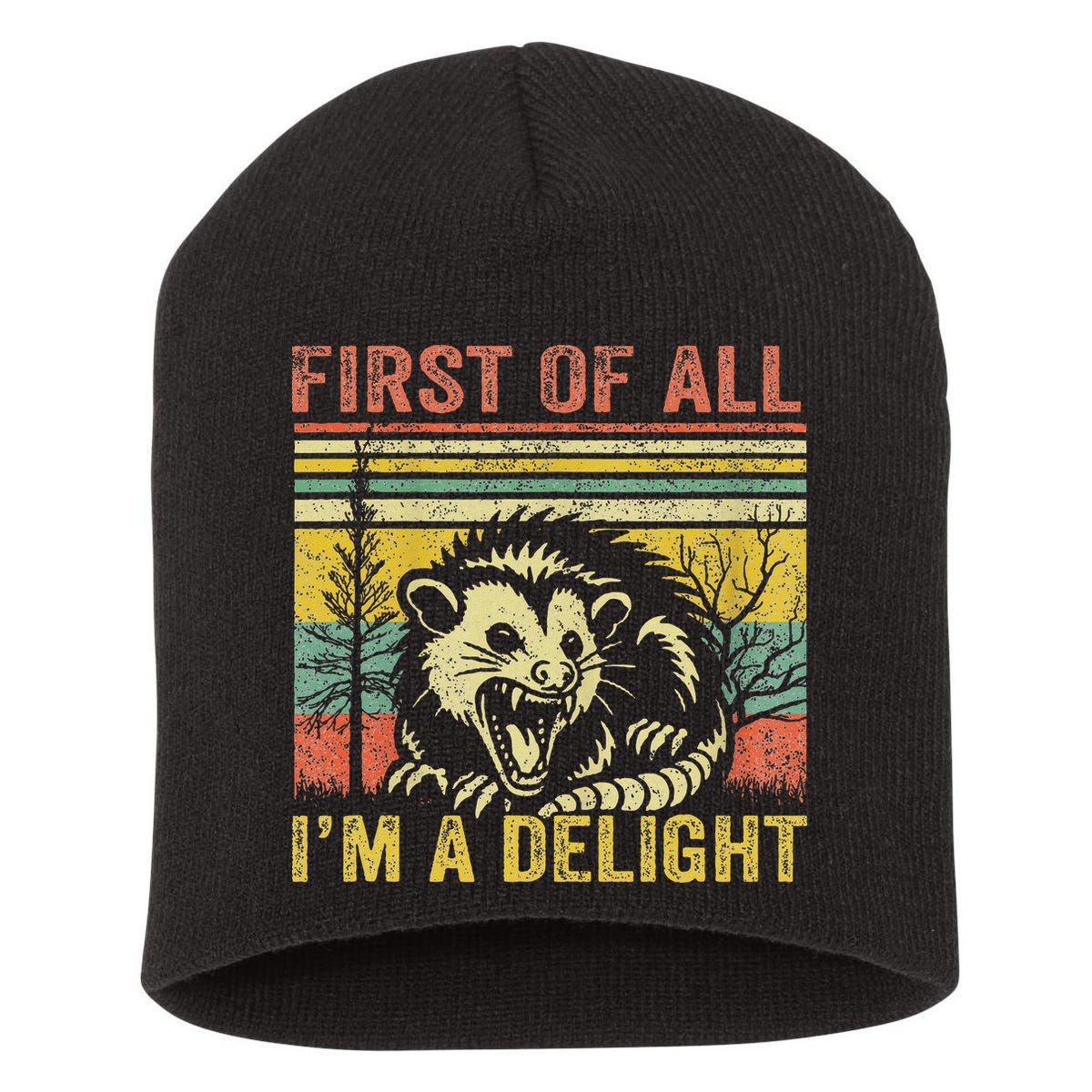 First Of All IM A Delight Funny Quote Short Acrylic Beanie