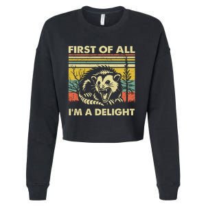 First Of All Im A Delight Sarcastic Angry Opossum Lover Cropped Pullover Crew