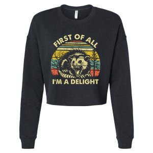 First Of All Im A Delight Sarcastic Angry Opossum Lover Cropped Pullover Crew