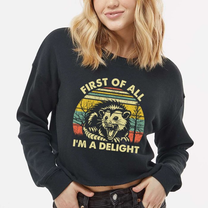 First Of All Im A Delight Sarcastic Angry Opossum Lover Cropped Pullover Crew