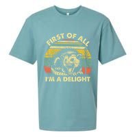 First Of All Im A Delight Sarcastic Angry Opossum Lover Sueded Cloud Jersey T-Shirt