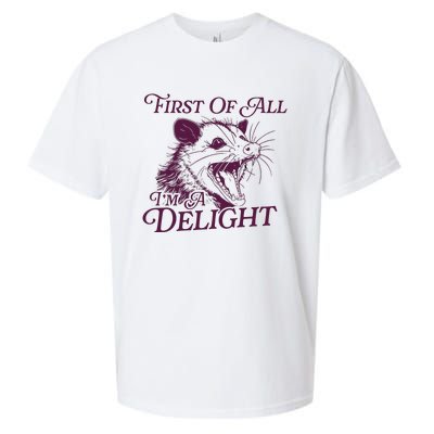 First Of All Im A Delight Sarcastic Angry Opossum Lover Sueded Cloud Jersey T-Shirt