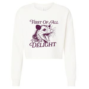 First Of All Im A Delight Sarcastic Angry Opossum Lover Cropped Pullover Crew