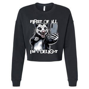 First Of All Im A Delight Sarcastic Angry Opossum Lover Cropped Pullover Crew