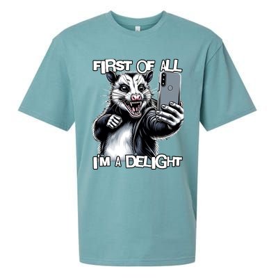 First Of All Im A Delight Sarcastic Angry Opossum Lover Sueded Cloud Jersey T-Shirt