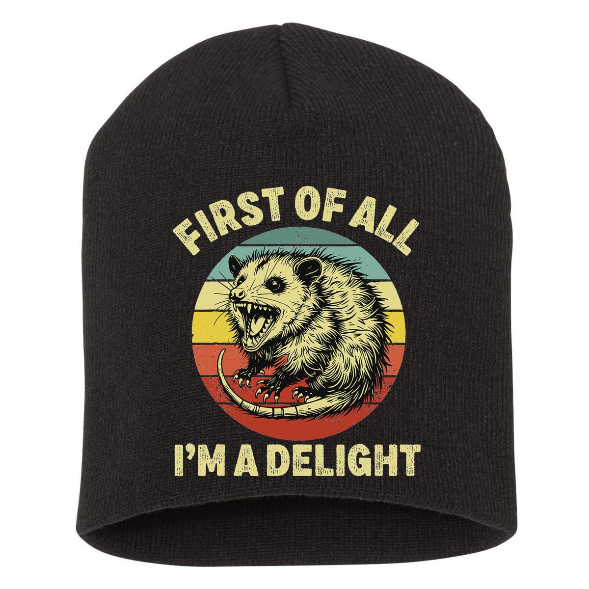 First Of All IM A Delight Women Funny Possum Opossum Short Acrylic Beanie