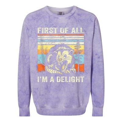 First Of All IM A Delight Sarcastic Angry Opossum Lover Colorblast Crewneck Sweatshirt