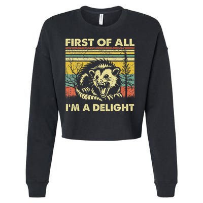 First Of All IM A Delight Sarcastic Angry Opossum Lover Cropped Pullover Crew