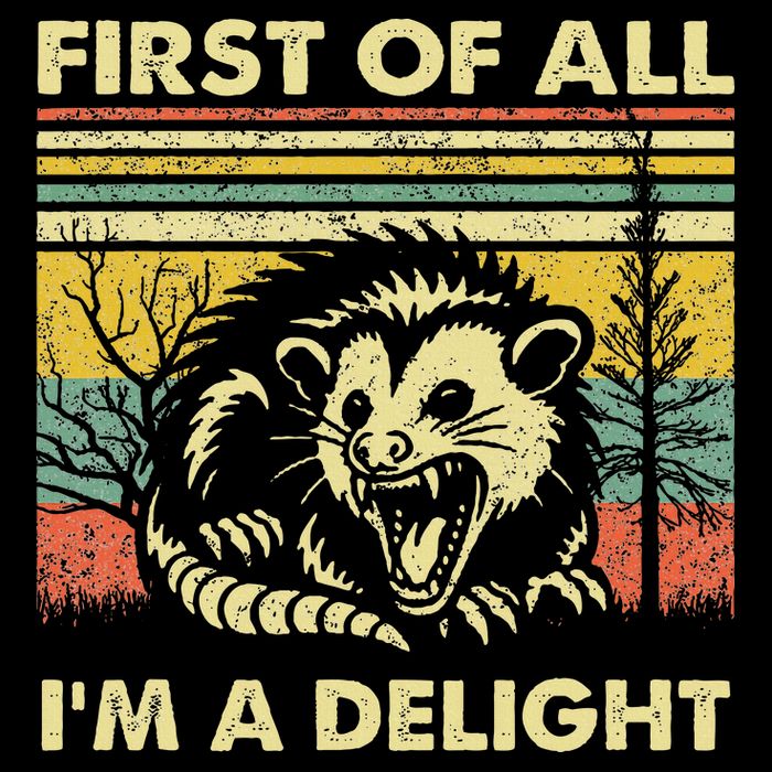 First Of All IM A Delight Sarcastic Angry Opossum Lover Wool Snapback Cap