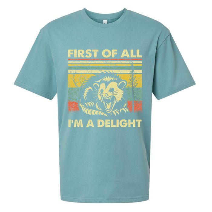 First Of All IM A Delight Sarcastic Angry Opossum Lover Sueded Cloud Jersey T-Shirt