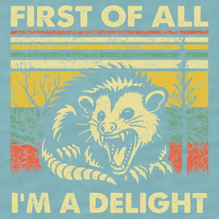 First Of All IM A Delight Sarcastic Angry Opossum Lover Sueded Cloud Jersey T-Shirt