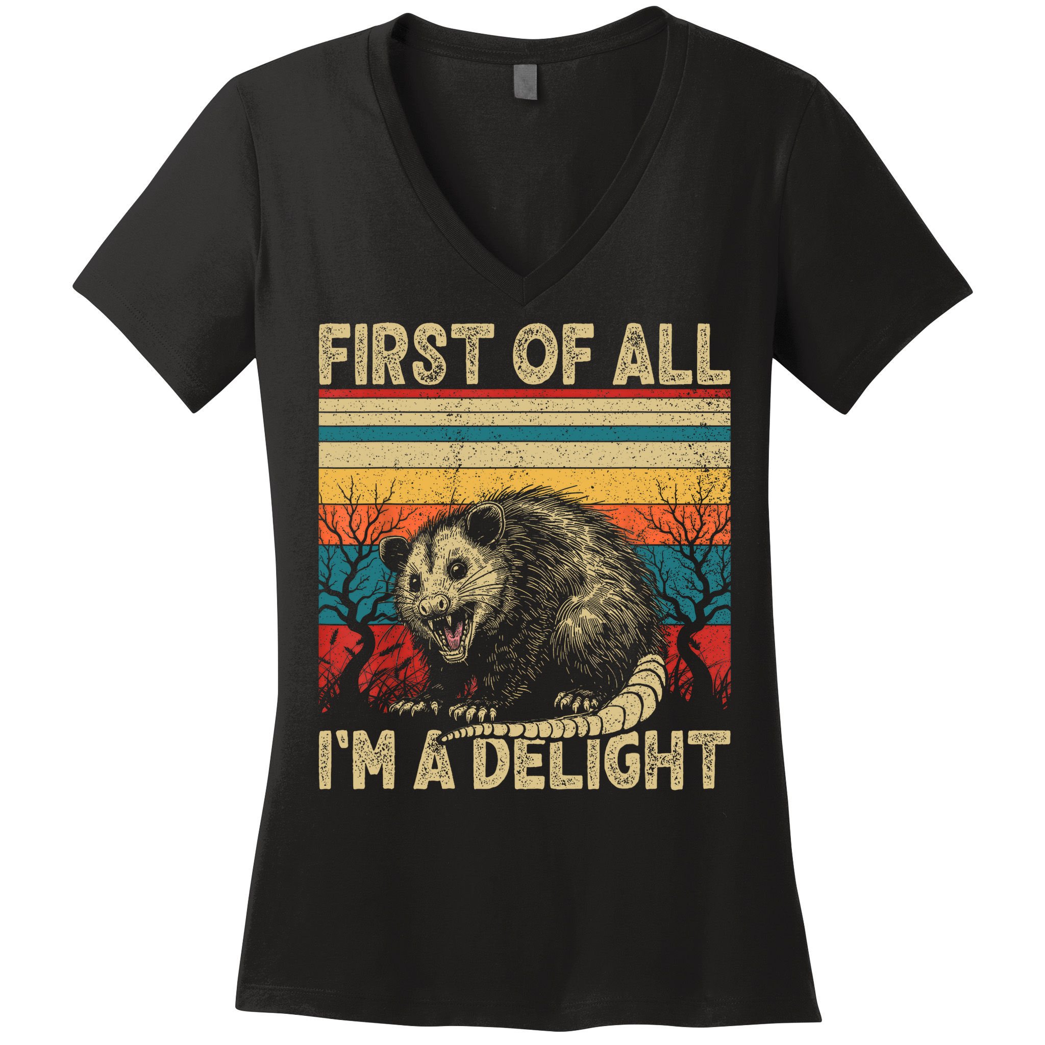 First Of All I'm A Delight Sarcastic Angry Opossum Possum  Women's V-Neck T-Shirt