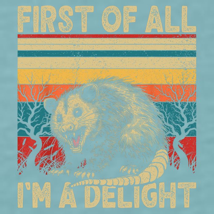 First Of All I'm A Delight Sarcastic Angry Opossum Possum  Sueded Cloud Jersey T-Shirt