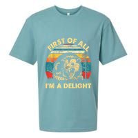 First Of All IM A Delight Sarcastic Angry Opossum Sueded Cloud Jersey T-Shirt