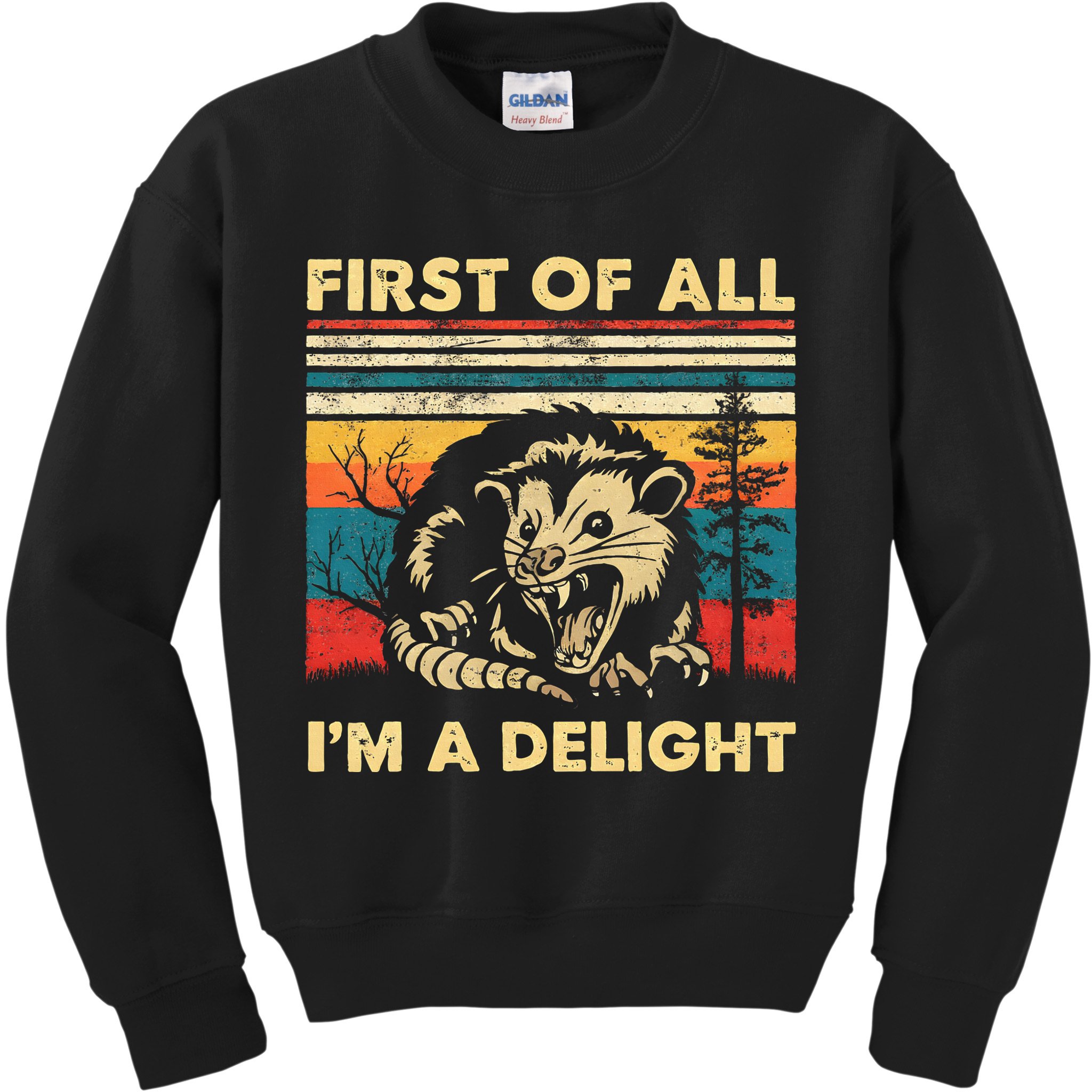 First Of All IM A Delight Sarcastic Angry Opossum Possum Kids Sweatshirt