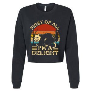 First Of All IM A Delight Sarcastic Angry Opossum Lover Cropped Pullover Crew