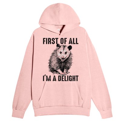 First Of All IM A Delight Opossum Lover Matching Urban Pullover Hoodie