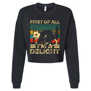 First Of All IM A Delight Sarcastic Angry Opossum Lover Cropped Pullover Crew