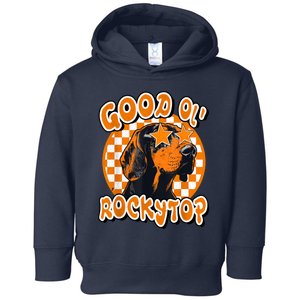 Funny Orange Blooded Tennessee Hound Native Home Tn Pride Toddler Hoodie