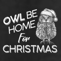 Funny OWL Be Home For Christmas 11oz C Handle Ceramic Mug