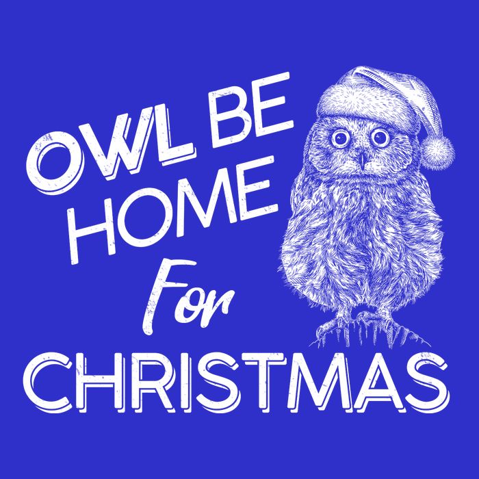 Funny OWL Be Home For Christmas Tie-Dye T-Shirt