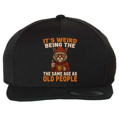 Funny Old Cat Its Weird Being The Same Age As Old People Wool Snapback Cap