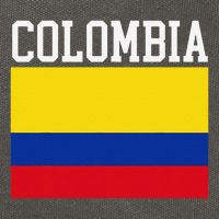 Flag Of Colombia Sports Athletics Left Side Cotton Canvas Backpack