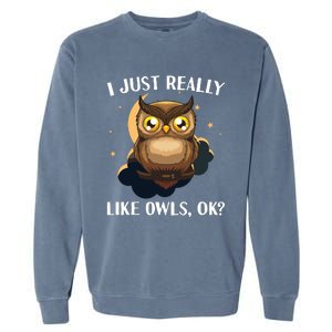 Funny Owl Design For Men Women Cute Owl Nocturnal Bird Lover Garment-Dyed Sweatshirt