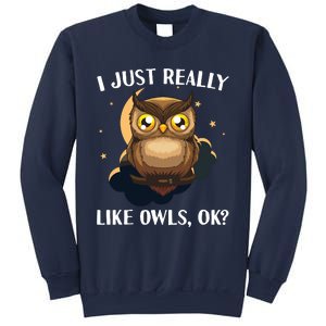 Funny Owl Design For Men Women Cute Owl Nocturnal Bird Lover Sweatshirt