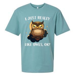 Funny Owl Design For Men Women Cute Owl Nocturnal Bird Lover Sueded Cloud Jersey T-Shirt