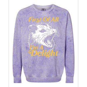 Funny Opossum First Of All Im A Delight Colorblast Crewneck Sweatshirt