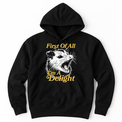Funny Opossum First Of All Im A Delight Hoodie