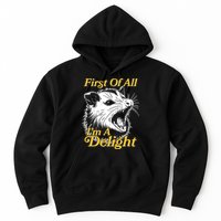 Funny Opossum First Of All Im A Delight Hoodie