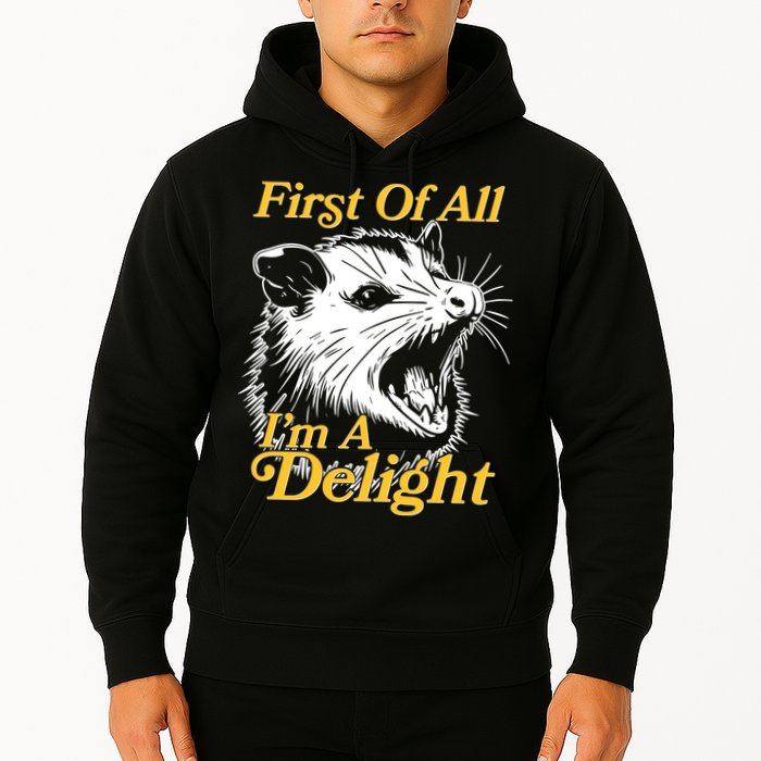 Funny Opossum First Of All Im A Delight Hoodie