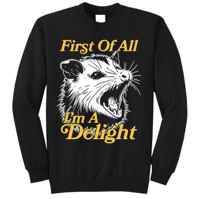 Funny Opossum First Of All Im A Delight Sweatshirt