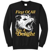 Funny Opossum First Of All Im A Delight Sweatshirt