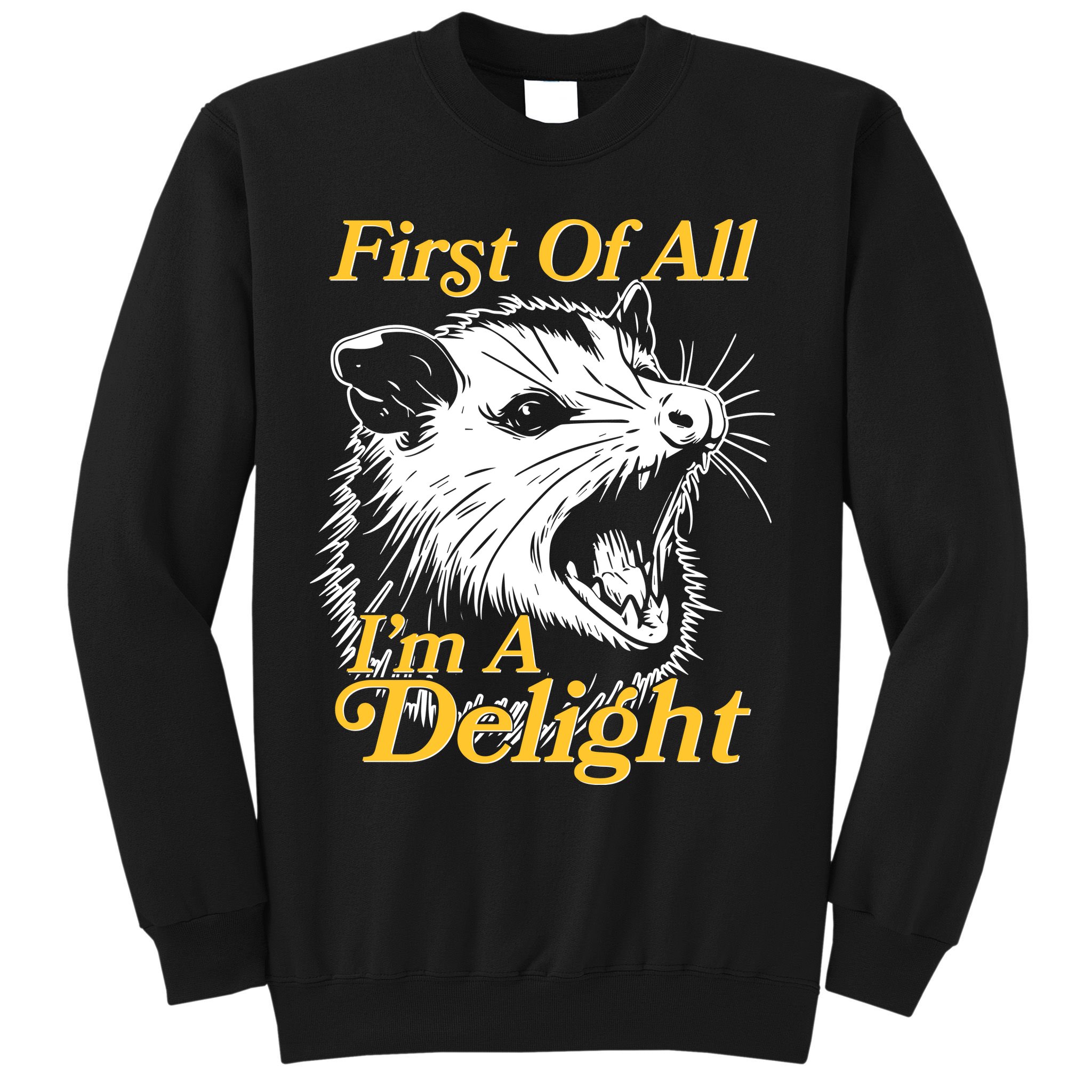 Funny Opossum First Of All Im A Delight Sweatshirt
