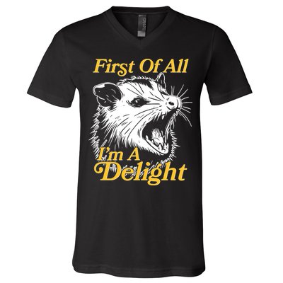 Funny Opossum First Of All Im A Delight V-Neck T-Shirt
