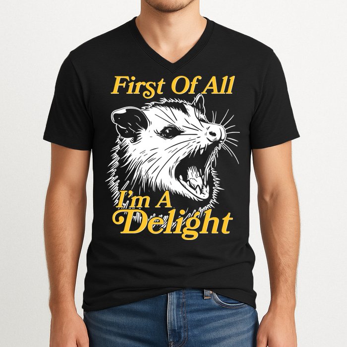 Funny Opossum First Of All Im A Delight V-Neck T-Shirt